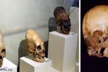 Zakázaná archeologie: RŮZNÉ PODIVNÉ LEBKY