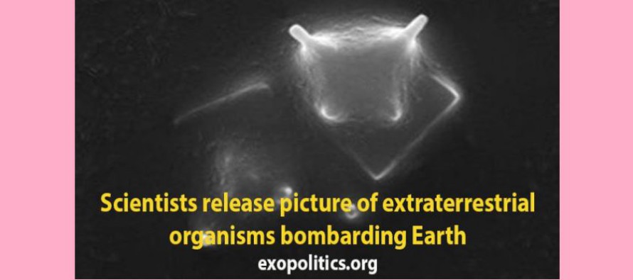 Vědci poskytli fotografii mikroskopické mimozemské formy života