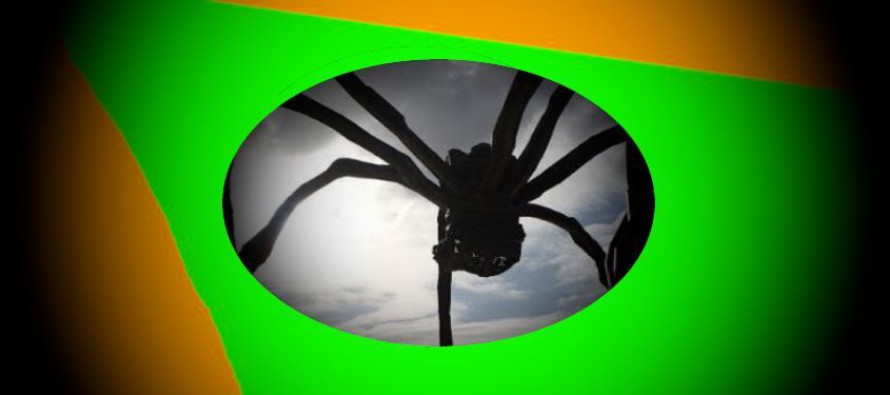 Pavoučí mimozemšťané – součást ovládání Země; Teorie o existenci arachnoidů – z Ruska a z Německa